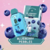 Space Club Blueberry Pebbles